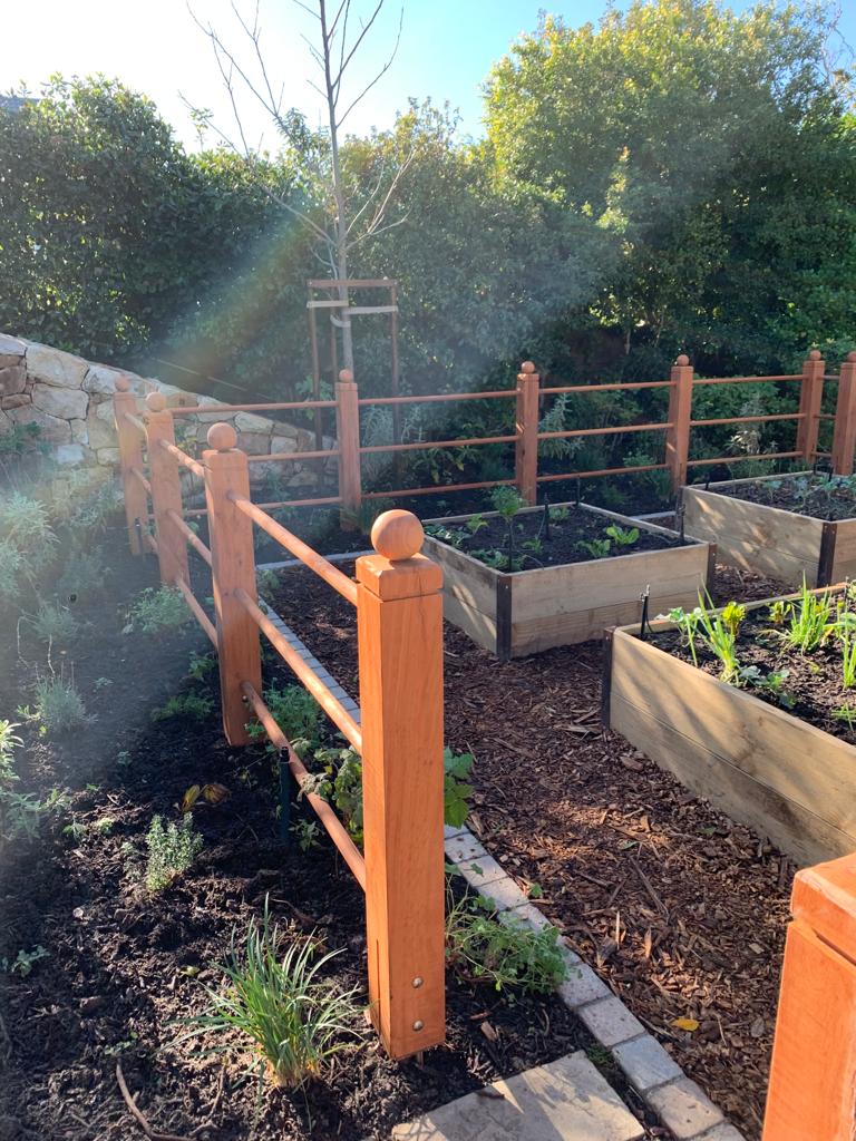 WhatsApp Image 2022-06-27 at 12.36.10 PM (1)